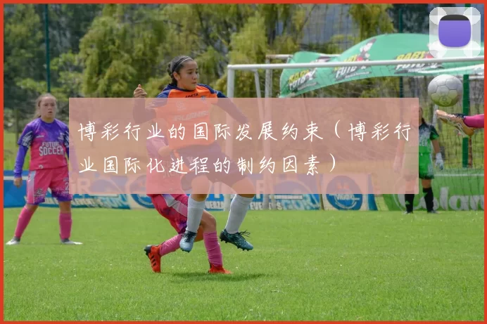 博彩行业的国际发展约束（博彩行业国际化进程的制约因素）