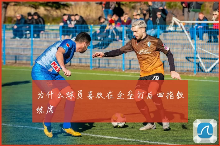 为什么球员喜欢在全垒打后回指教练席