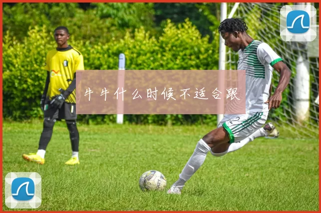 牛牛什么时候不适合跟
