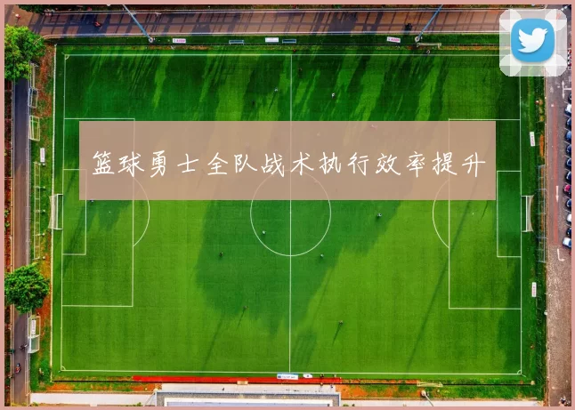 篮球勇士全队战术执行效率提升