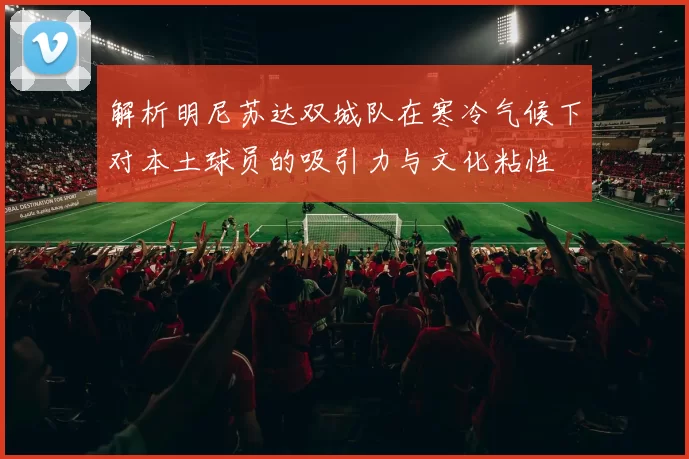 解析明尼苏达双城队在寒冷气候下对本土球员的吸引力与文化粘性