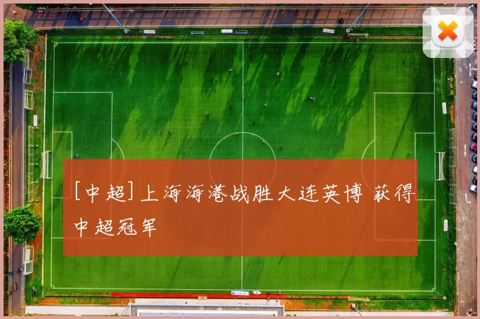 [中超]上海海港战胜大连英博 获得中超冠军
