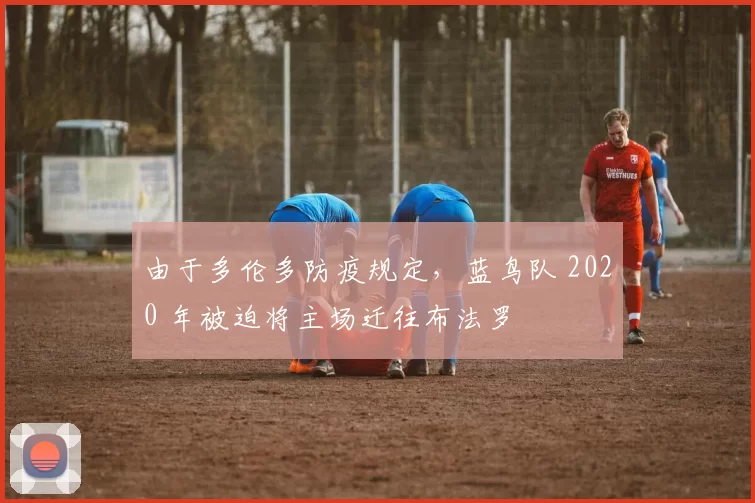 由于多伦多防疫规定，蓝鸟队 2020 年被迫将主场迁往布法罗