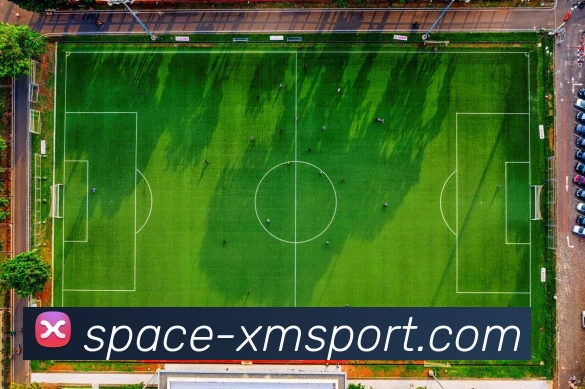 熊猫体育平台生态图