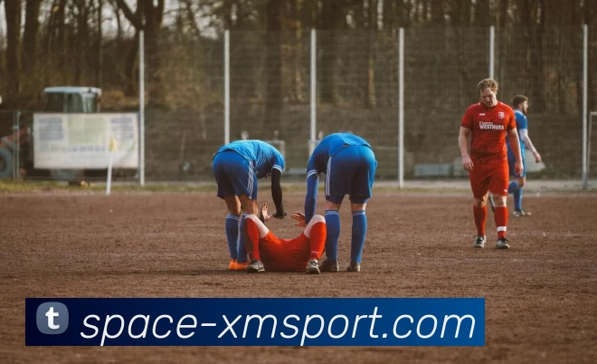 熊猫体育全站App